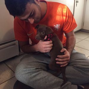 Meet your Posher, Dean